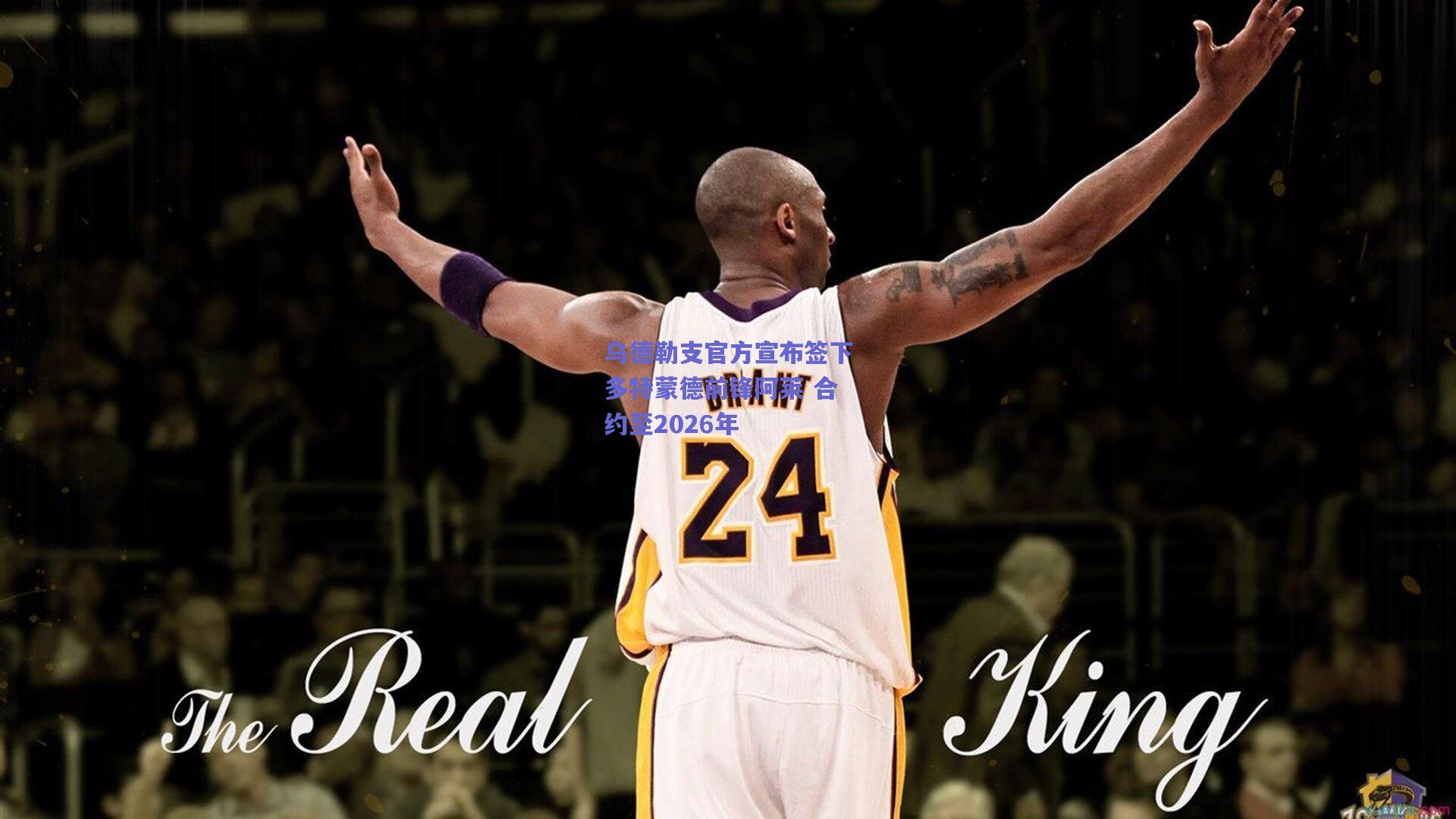 mksport：乌德勒支官方宣布签下多特蒙德前锋阿莱 合约至2026年