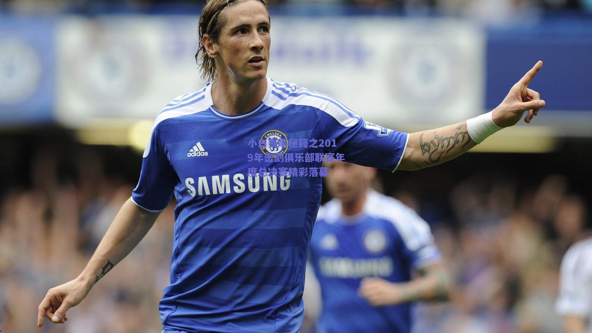 mk体育中国|小白赛事秘籍之2019年击剑俱乐部联赛年度总决赛精彩落幕