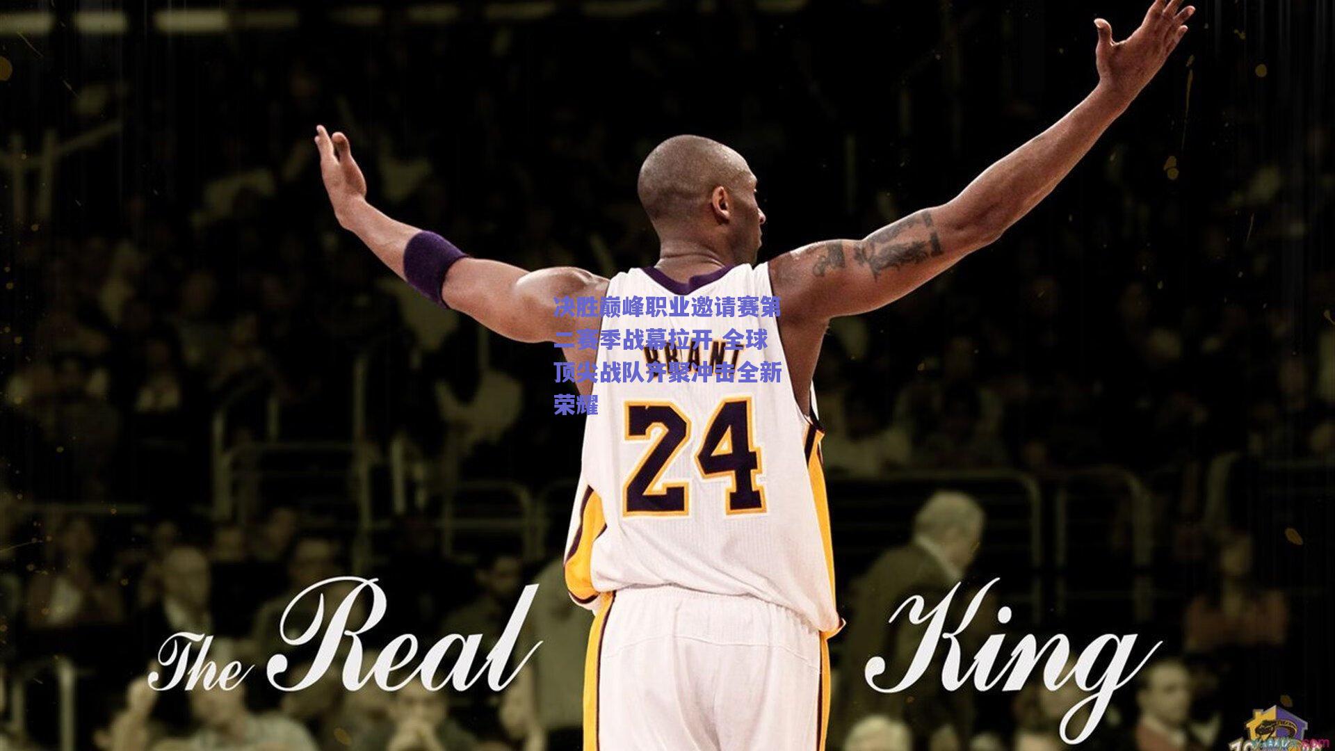 mk体育官网：决胜巅峰职业邀请赛第二赛季战幕拉开 全球顶尖战队齐聚冲击全新荣耀