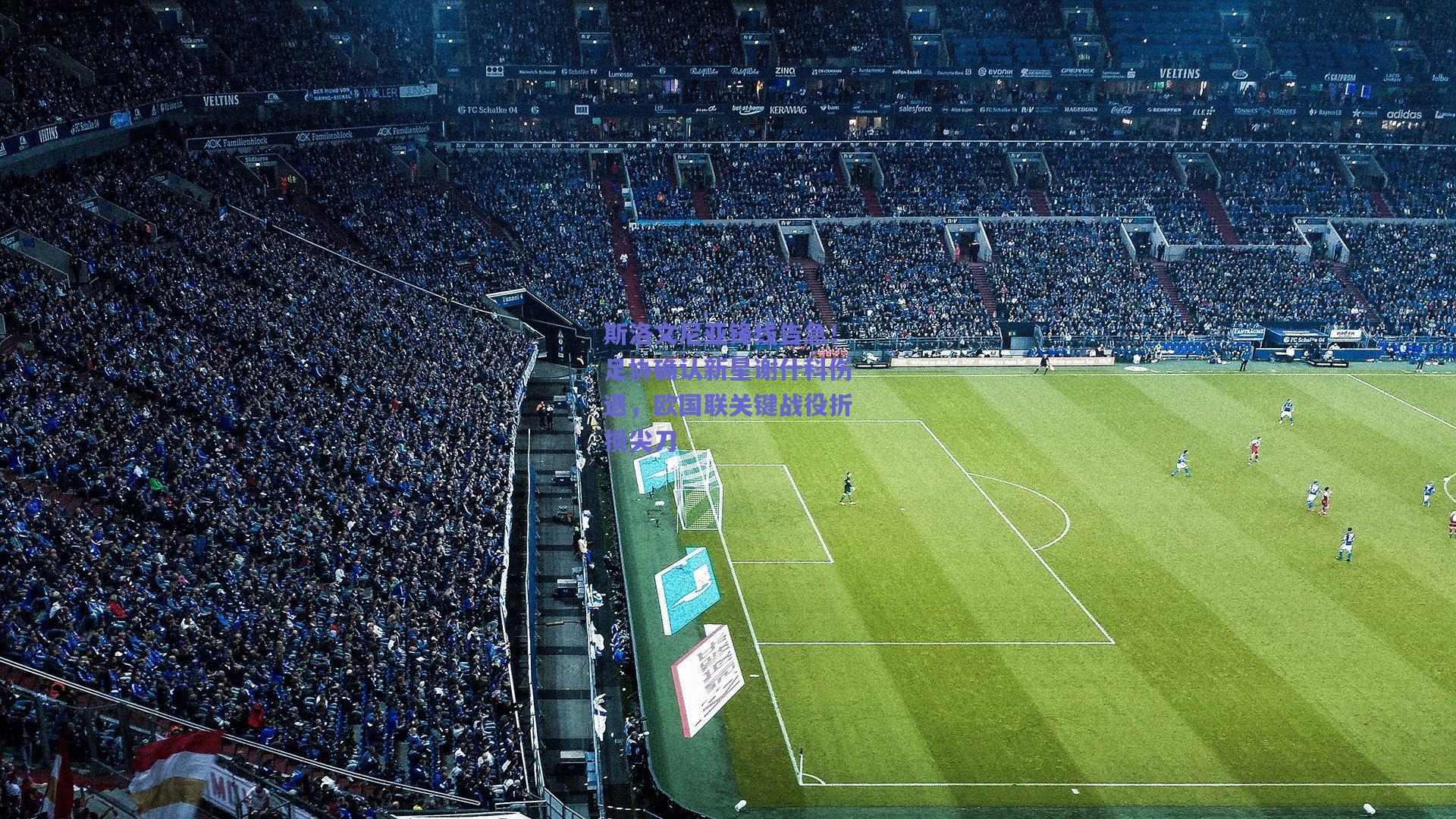 斯洛文尼亚锋线告急！足协确认新星谢什科伤退，欧国联关键战役折损尖刀